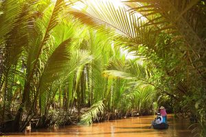 Mekong-Delta-Vietnam